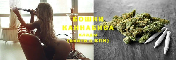 шишки Алексеевка