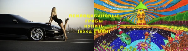 шишки Алексеевка