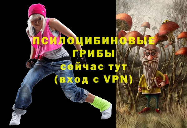 твердый Алзамай