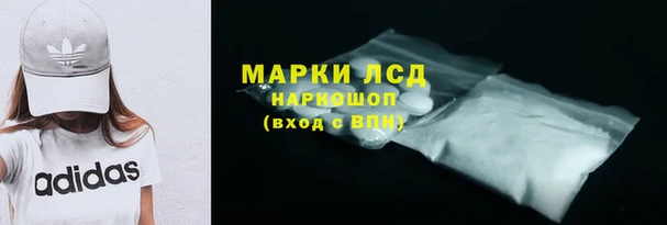 гашик Алексин