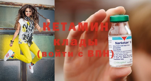 гашик Алексин