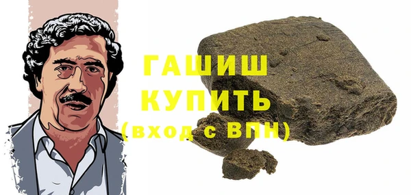 гашик Алексин
