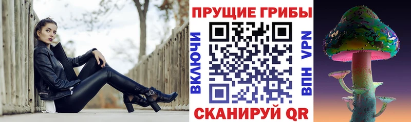 Галлюциногенные грибы прущие грибы  Тайшет 